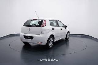 FIAT Punto usata, con Controllo trazione