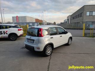 FIAT Panda usata, con Antifurto