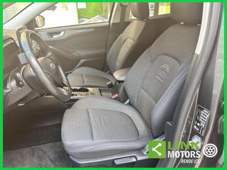 FORD Focus usata, con Vetri oscurati