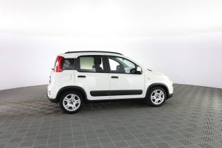 FIAT Panda usata 2