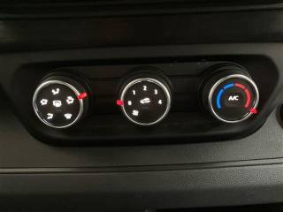 RENAULT Trafic usata 18