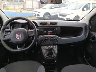 FIAT Panda usata 9