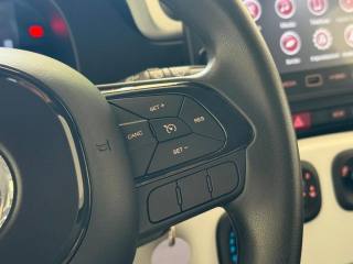 FIAT Panda Cross usata, con Specchietti laterali elettrici