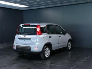 FIAT Panda usata, con Airbag Passeggero