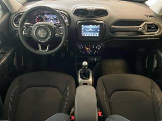 JEEP Renegade usata, con Volante in pelle