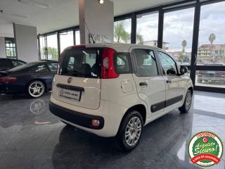 FIAT Panda usata, con Alzacristalli elettrici