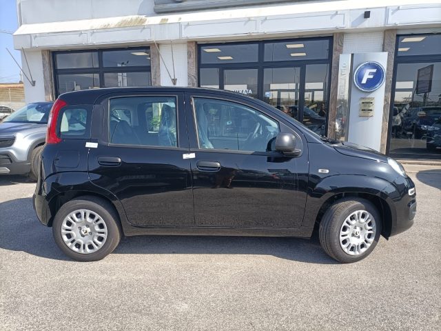 FIAT Panda usata, con Controllo trazione