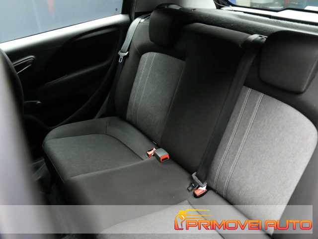 FIAT Punto usata 13
