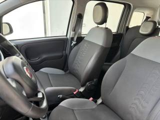 FIAT Panda usata 19