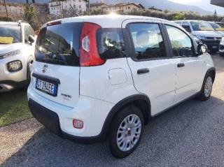FIAT Panda usata, con Boardcomputer