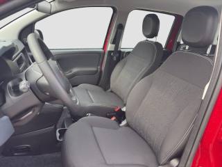 FIAT Panda usata 11