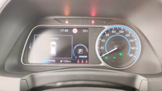 NISSAN Leaf usata 52