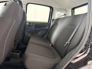 FIAT Pandina usata 12