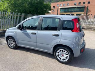 FIAT Panda 1.2 Easy Gpl