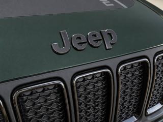 JEEP Renegade usata, con Autoradio digitale