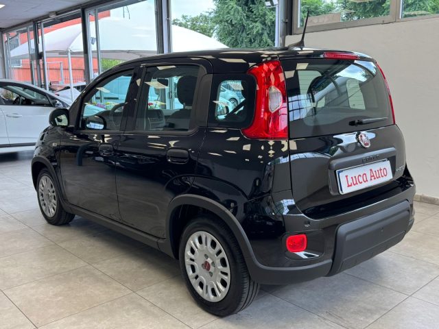 FIAT Panda usata, con Chiusura centralizzata