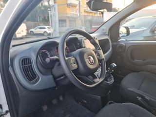 FIAT Panda Cross usata, con Cronologia tagliandi