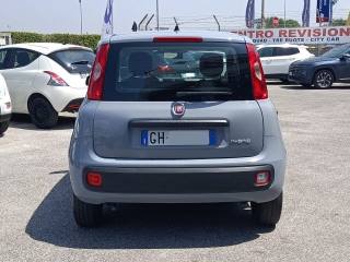 FIAT Panda usata, con Climatizzatore