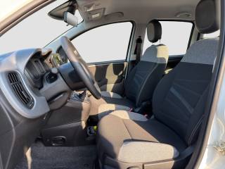 FIAT Panda usata 9