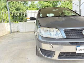 FIAT Punto usata 31