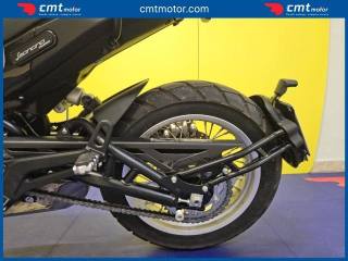 BENELLI Leoncino 500 usata 9