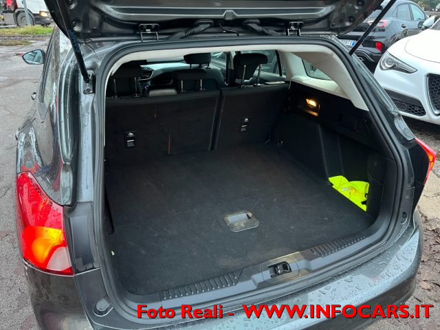 FORD Focus usata, con Bracciolo