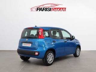 FIAT Panda usata, con Airbag Passeggero