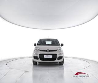 FIAT Panda usata 4