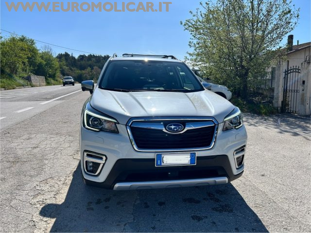 SUBARU Forester usata, con ESP