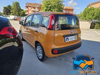 FIAT Panda usata, con Alzacristalli elettrici