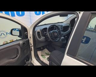 FIAT New Panda usata, con Chiusura centralizzata