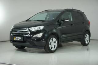 FORD EcoSport usata, con Vetri oscurati