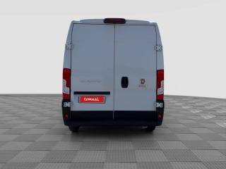 FIAT Ducato usata 3