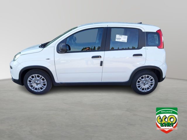FIAT Panda usata, con Airbag Passeggero