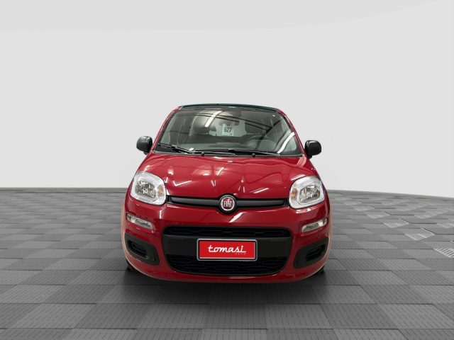 FIAT Panda usata 6