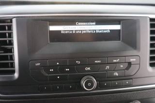 PEUGEOT Traveller usata, con Fendinebbia