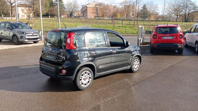 FIAT Panda usata, con Airbag testa