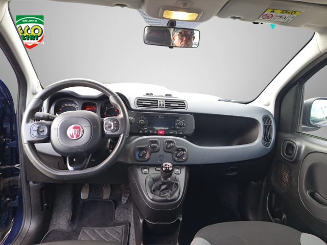 FIAT Panda Cross usata, con Specchietti laterali elettrici