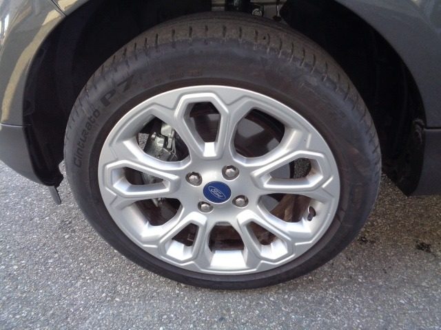 FORD EcoSport usata, con Interni in pelle