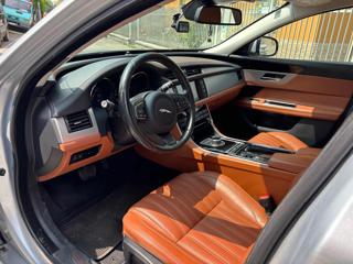 JAGUAR XF usata, con Cronologia tagliandi