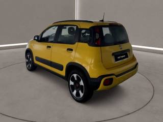 FIAT Panda Cross usata, con Airbag