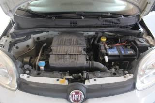 FIAT Panda usata 19