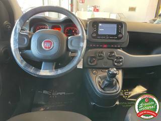 FIAT Panda usata, con Immobilizzatore elettronico