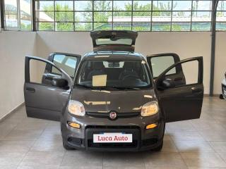 FIAT Panda usata, con Airbag