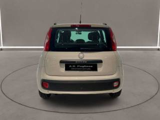 FIAT Panda usata, con Fendinebbia