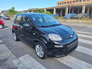 FIAT Panda usata, con Airbag laterali