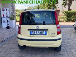 FIAT Panda usata, con Controllo automatico clima