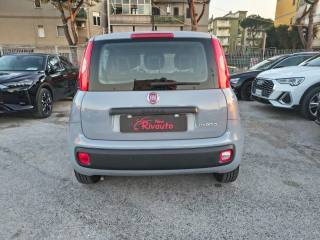 FIAT Panda usata, con Alzacristalli elettrici
