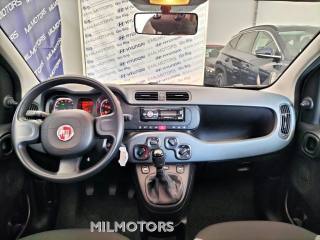 FIAT Panda usata 13