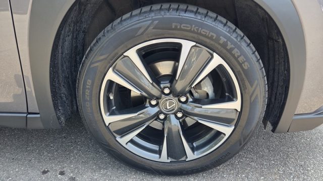LEXUS UX 250h usata, con Autoradio